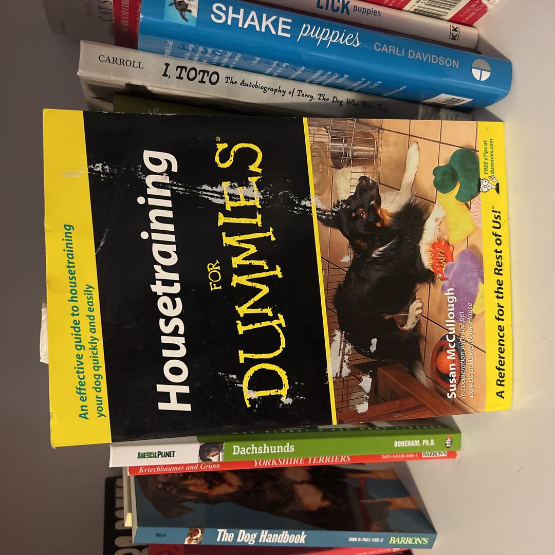 housetraining for dummies