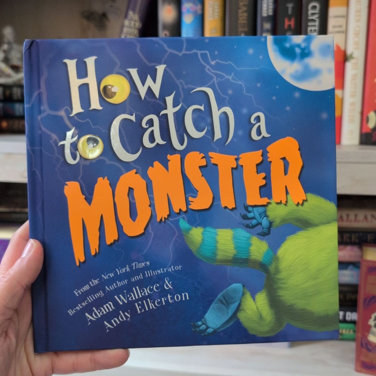 How to Catch a Monster by Adam Wallace, Adam Wallace