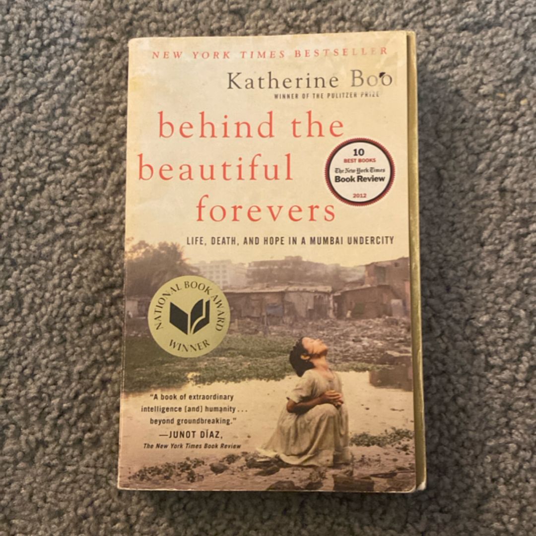 Behind the Beautiful Forevers