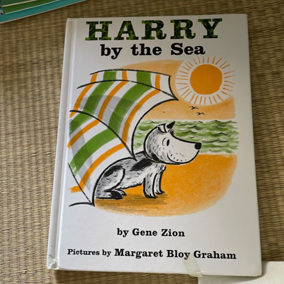 Harry by the Sea