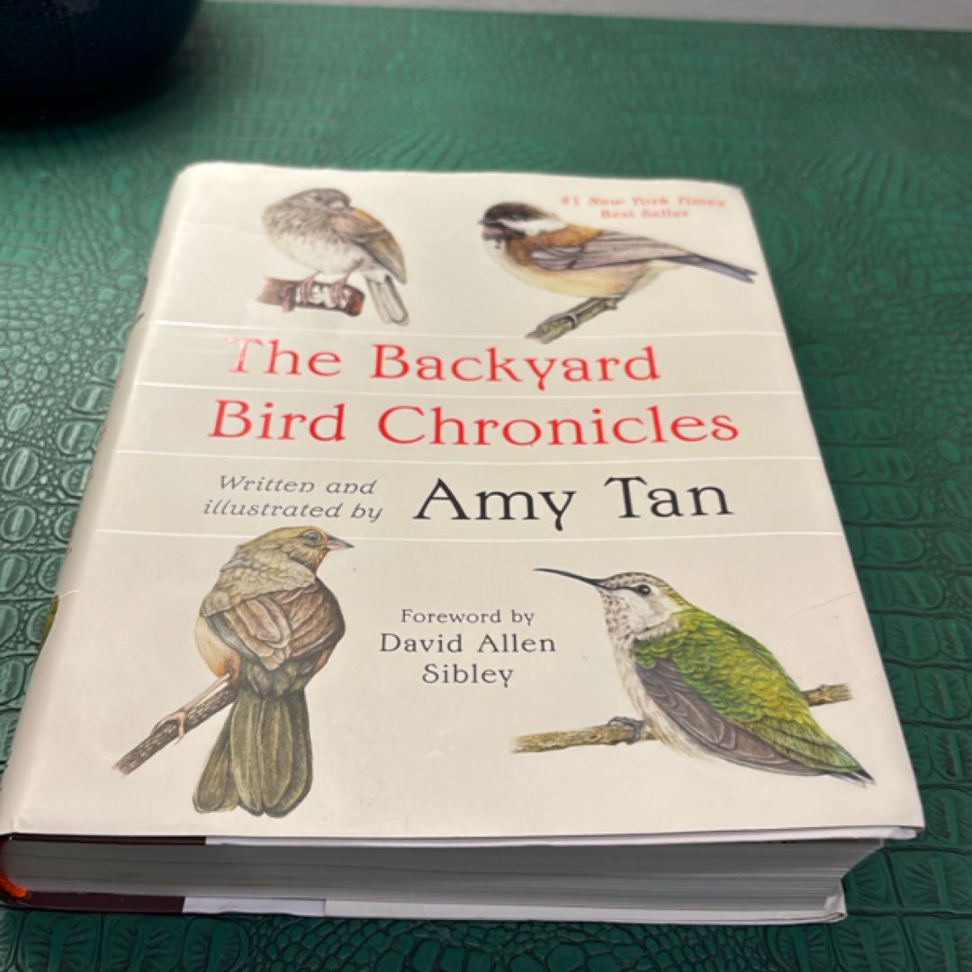 The Backyard Bird Chronicles