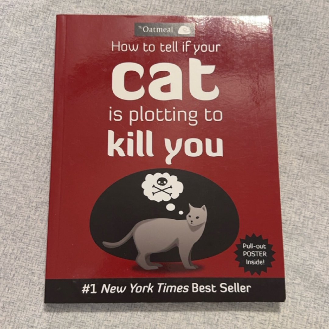 How to Tell If Your Cat Is Plotting to Kill You