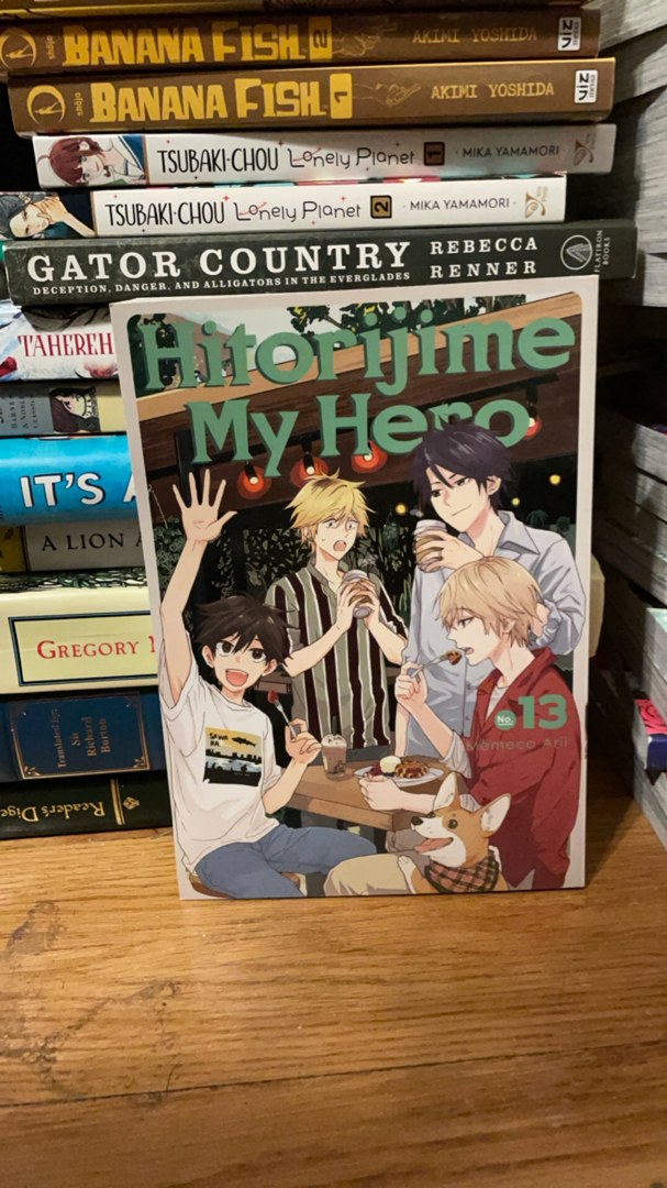Hitorijime My Hero 13