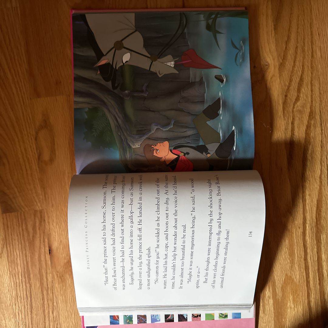 Disney Princess Collection