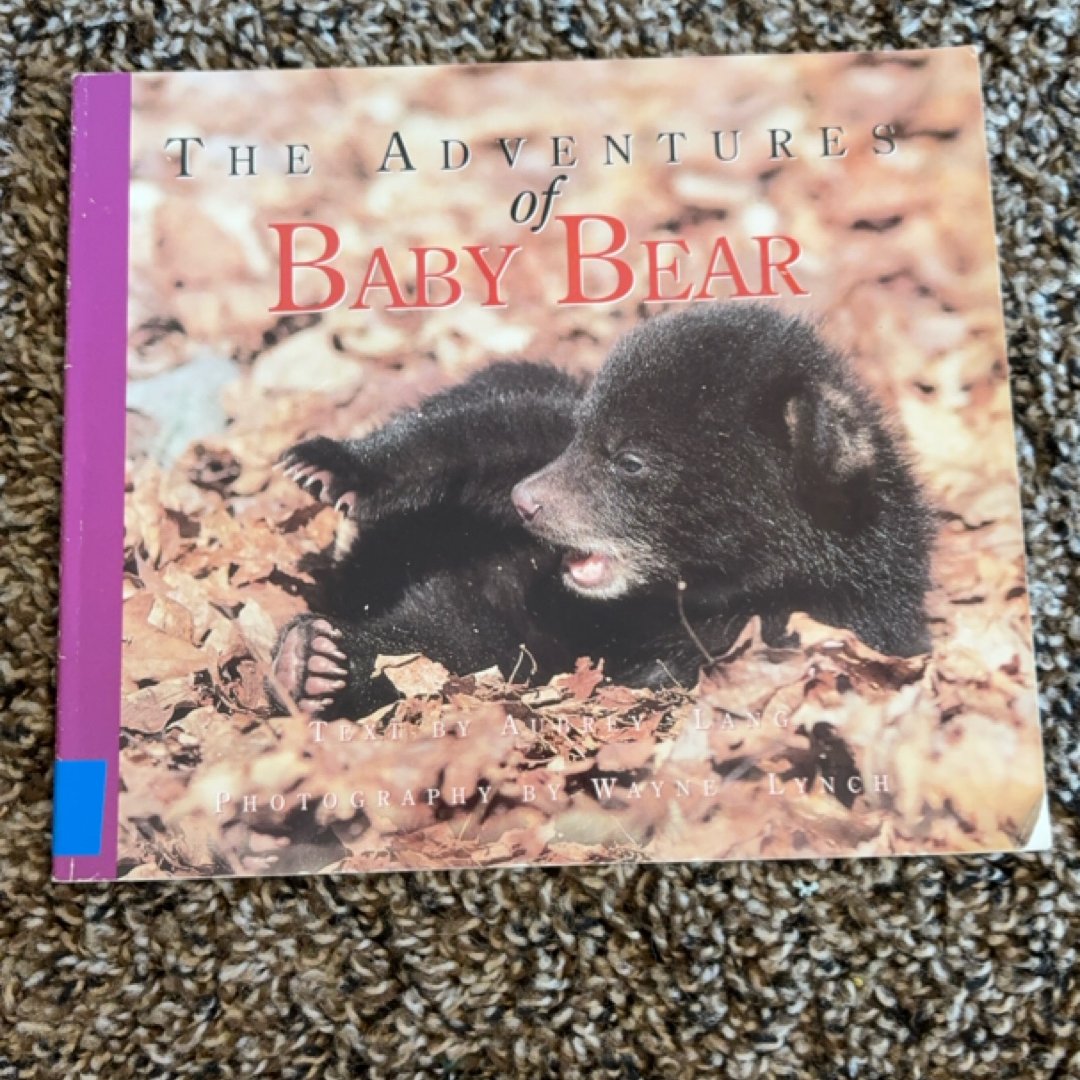 The Adventures of Baby Bear