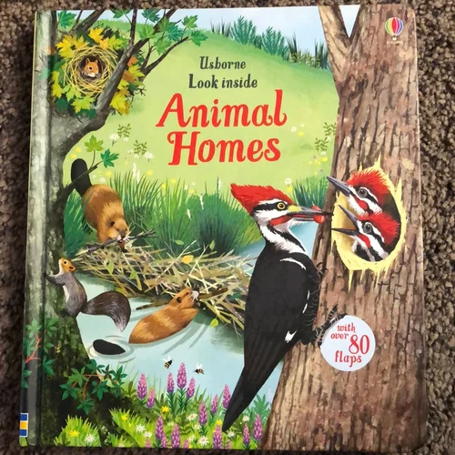 Look Inside Animal Homes IR