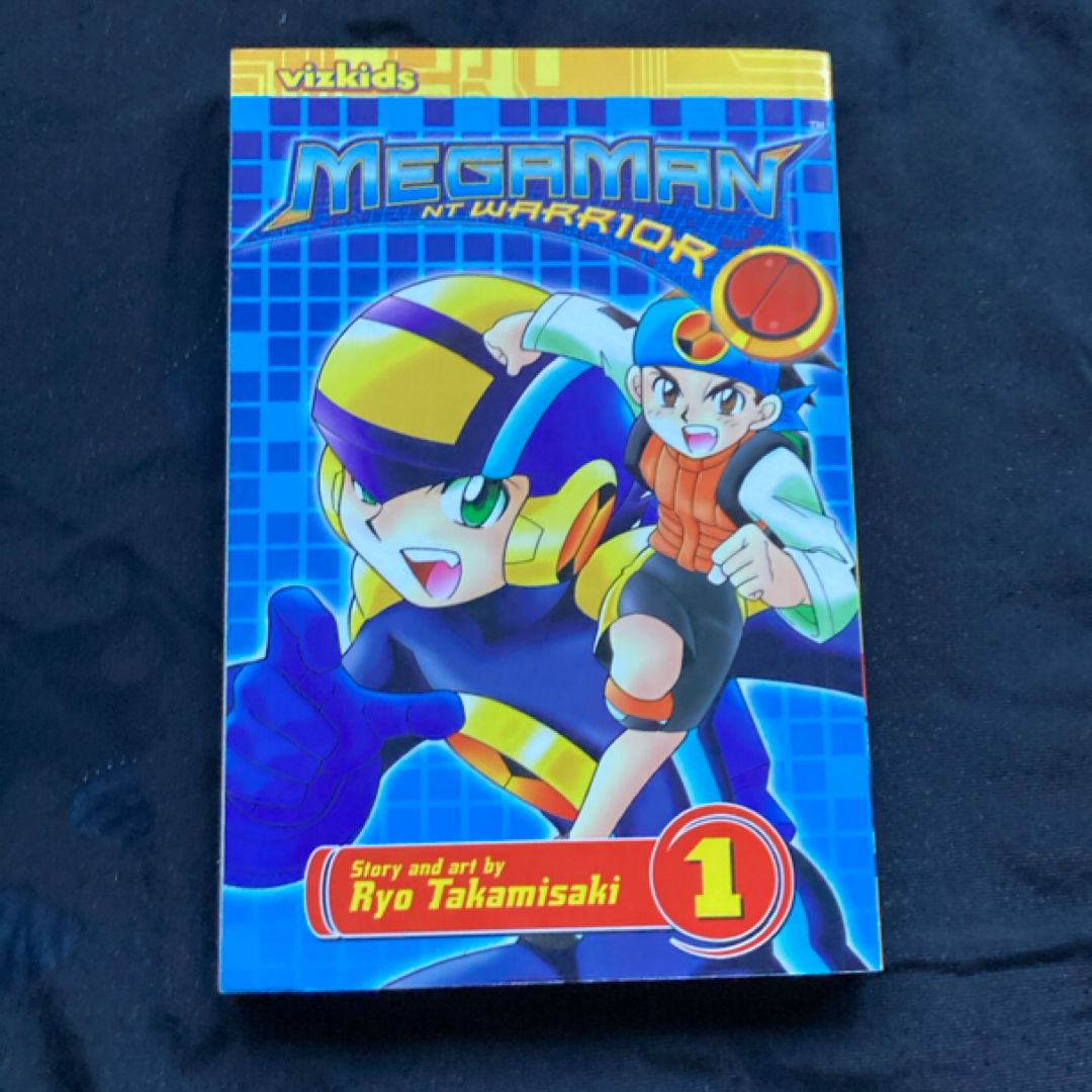 Megaman NT Warrior
