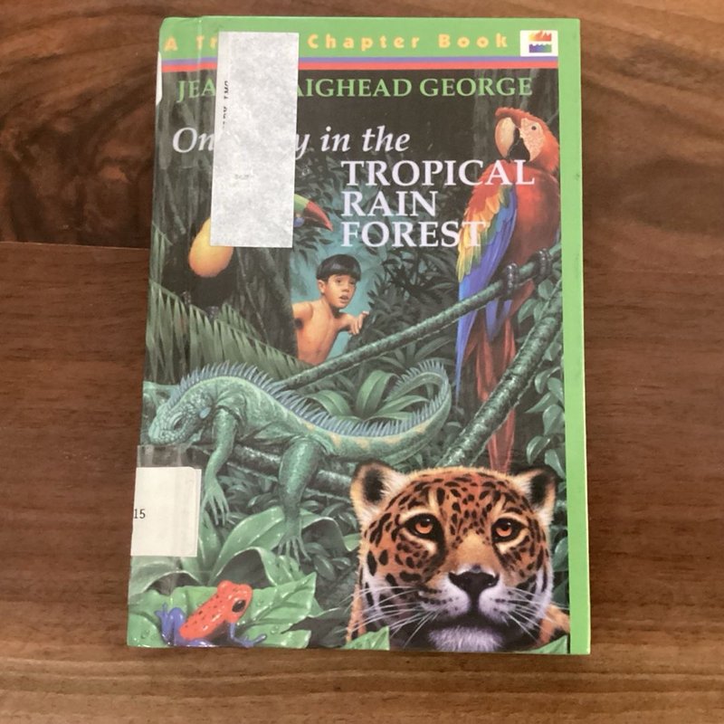 One Day in the Tropical Rain Forest