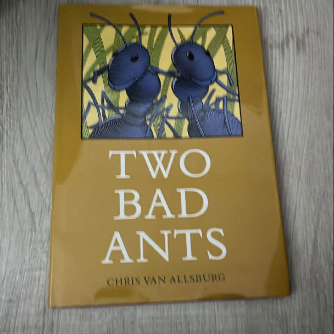Two Bad Ants