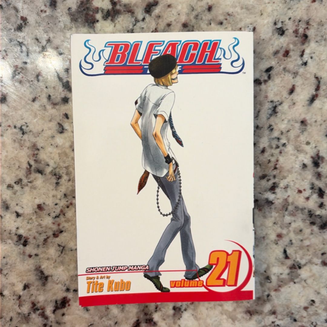 Bleach, Vol. 21
