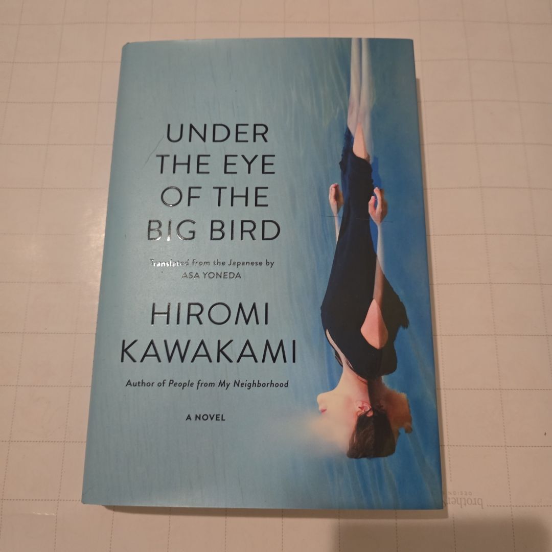 Under the Eye of the Big Bird