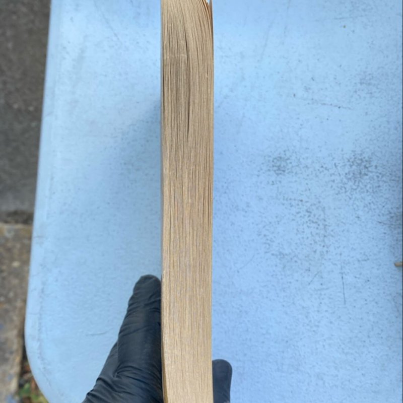 A Series of Unfortunate Events #7: the Vile Village