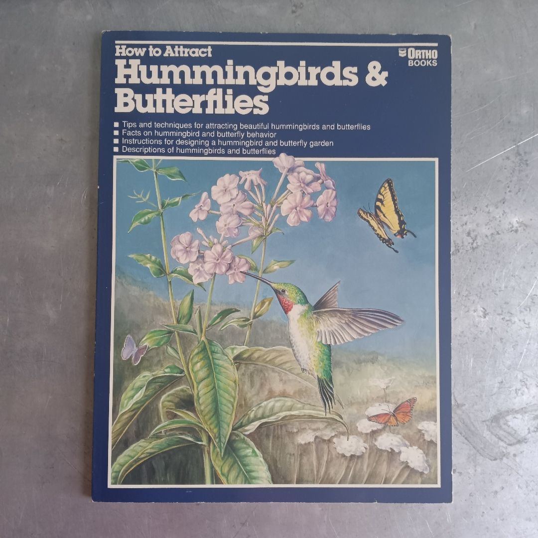 How to Attract Hummingbirds and Butterflies