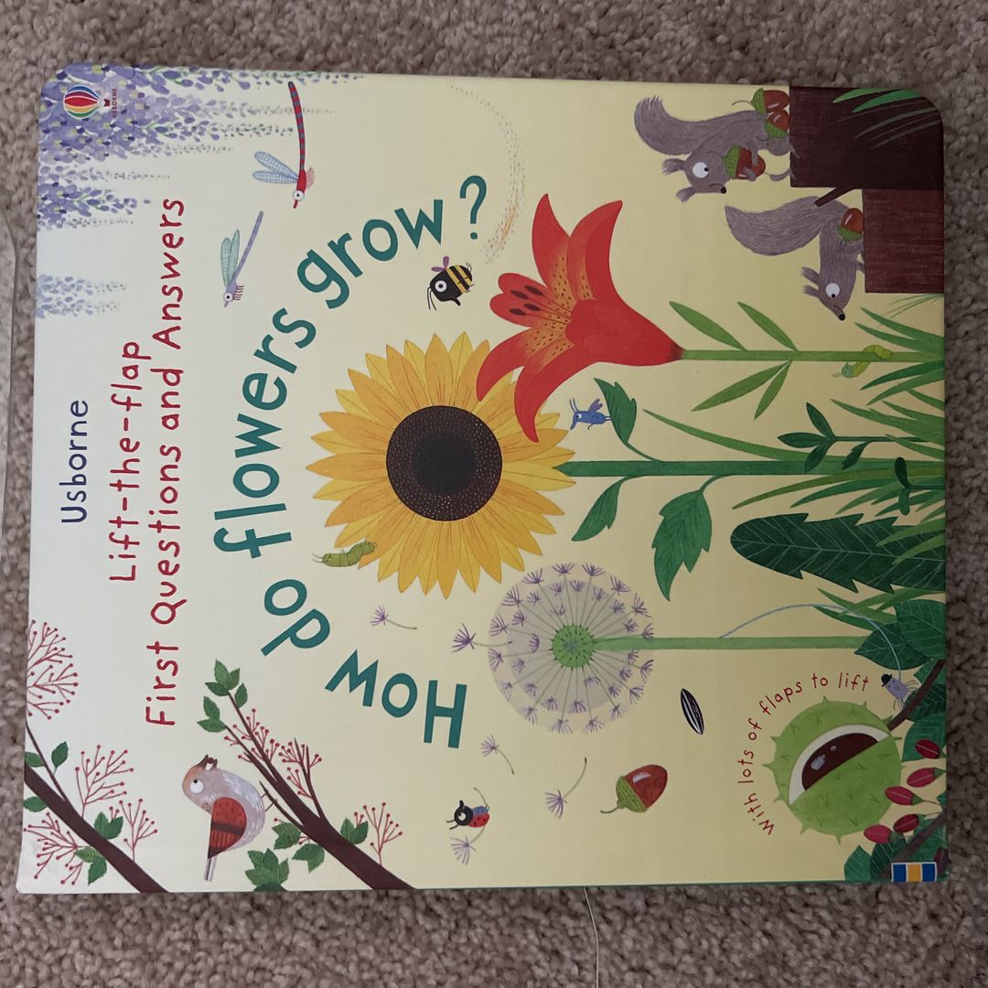 How do flowers grow?