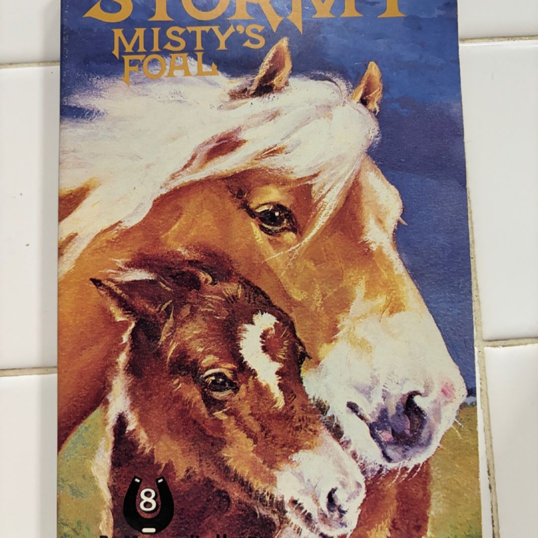Stormy, Misty's Foal