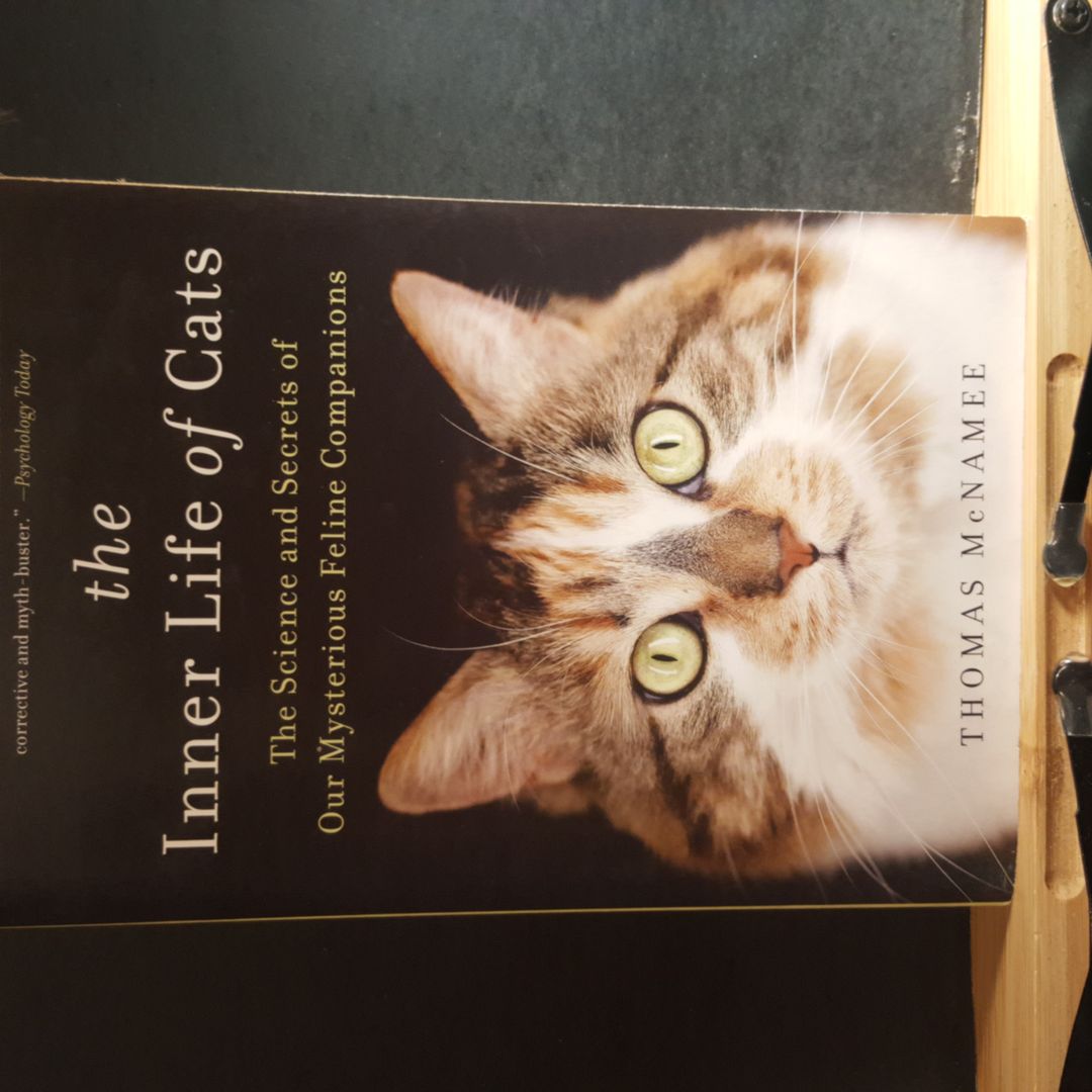 The Inner Life of Cats