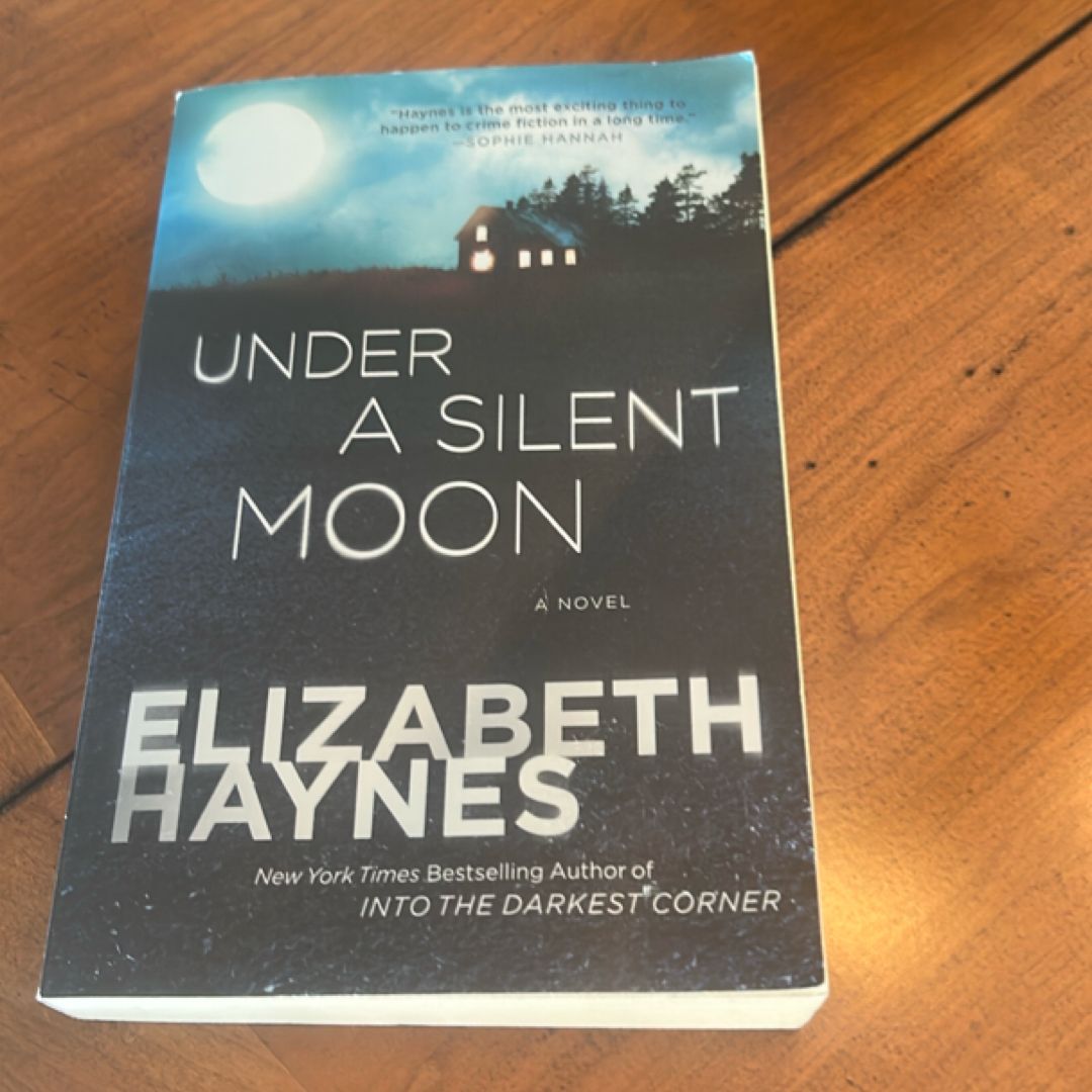Under a Silent Moon