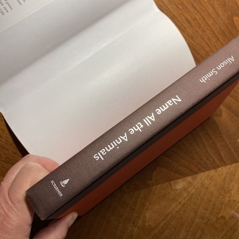 Name All the Animals