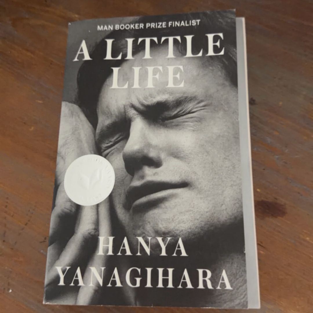 A Little Life