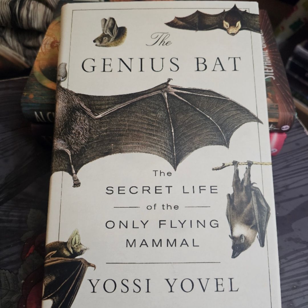 The Genius Bat