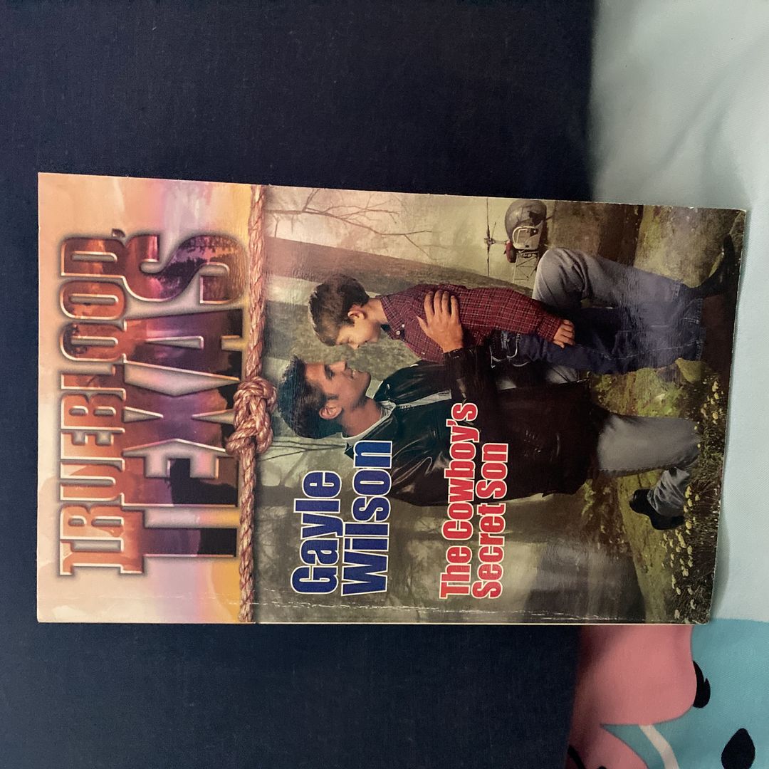 The Cowboy’s Secret Son 