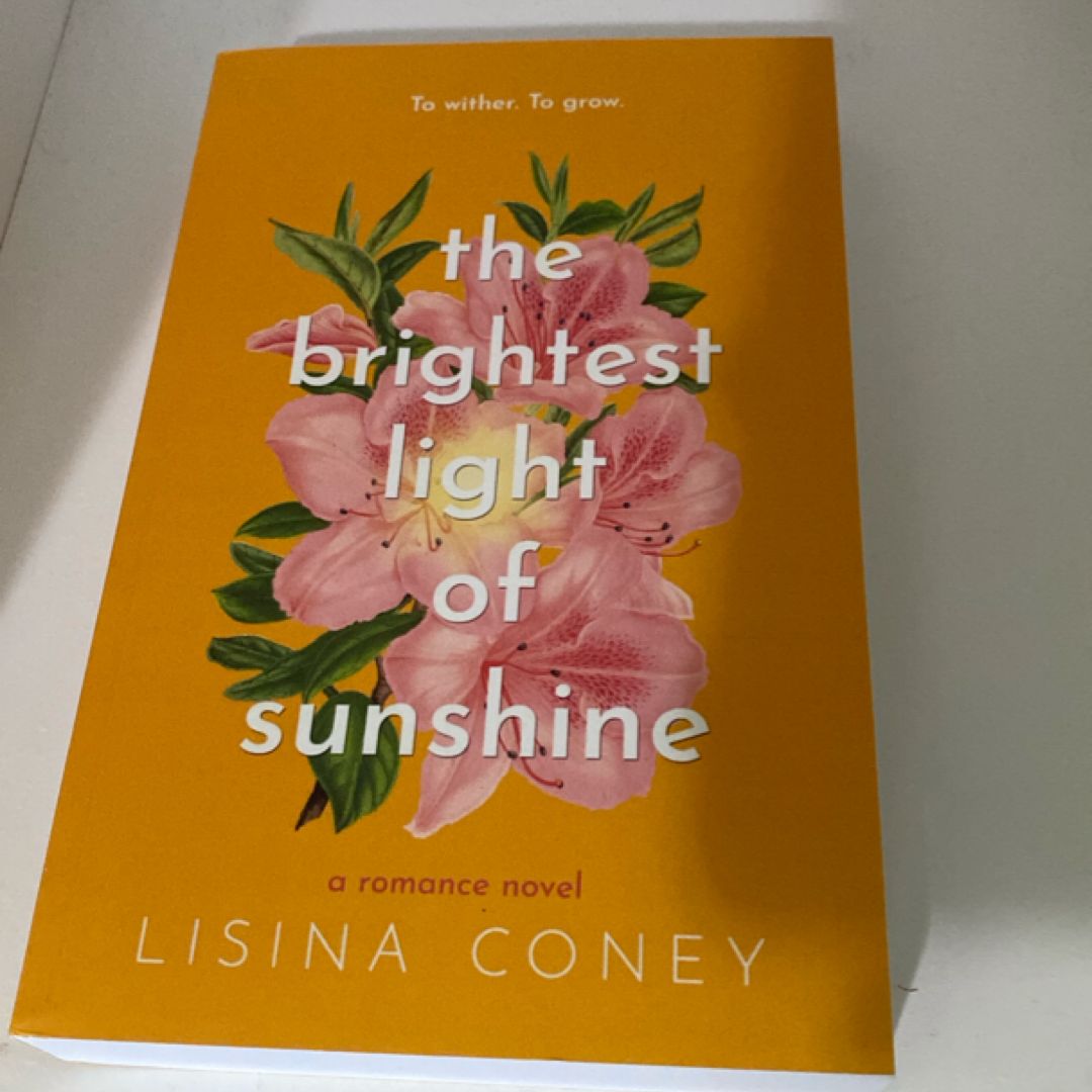 The brightest light of sunshine