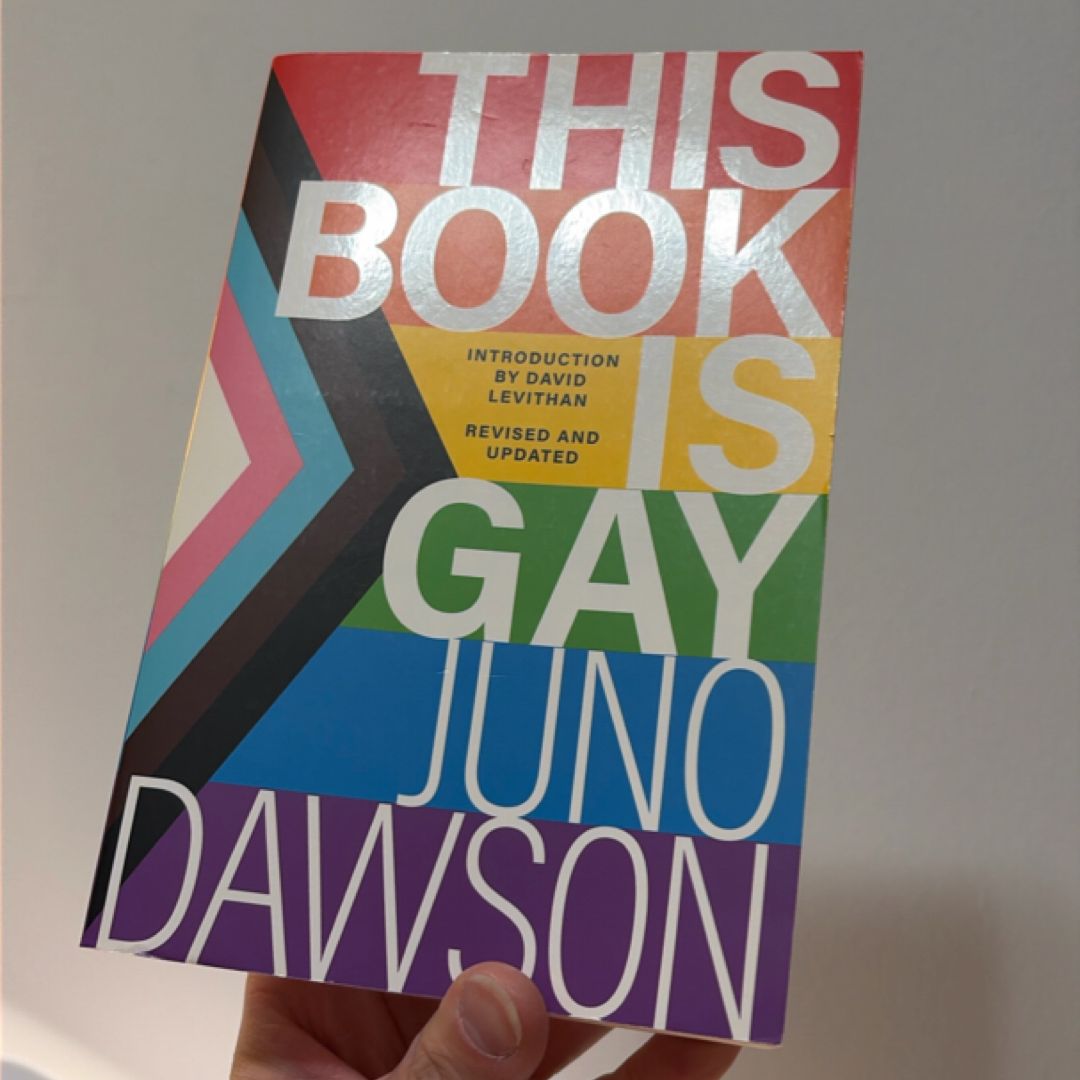 This Book Is Gay
