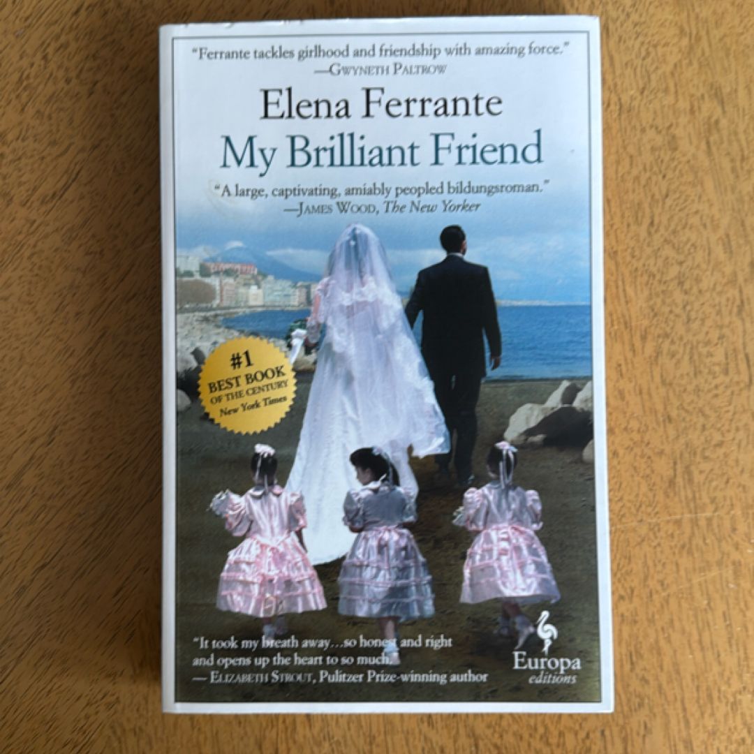 My Brilliant Friend