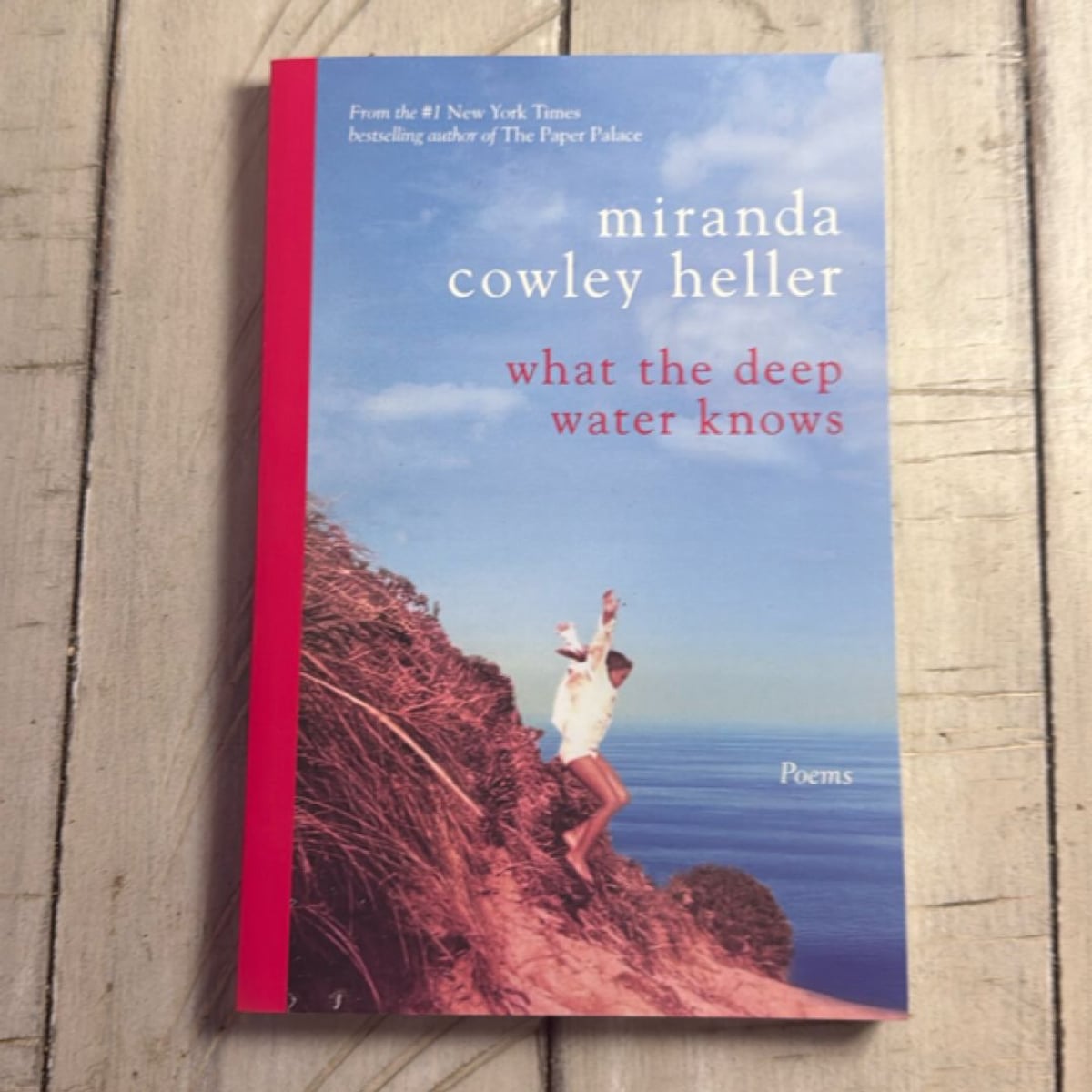 What the Deep Water Knows by Miranda Cowley Heller