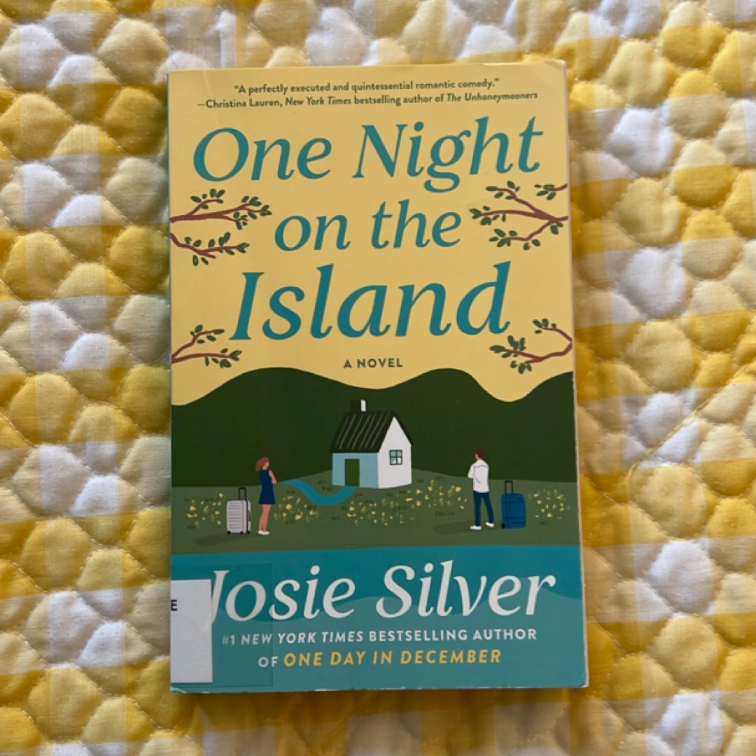 One Night on the Island