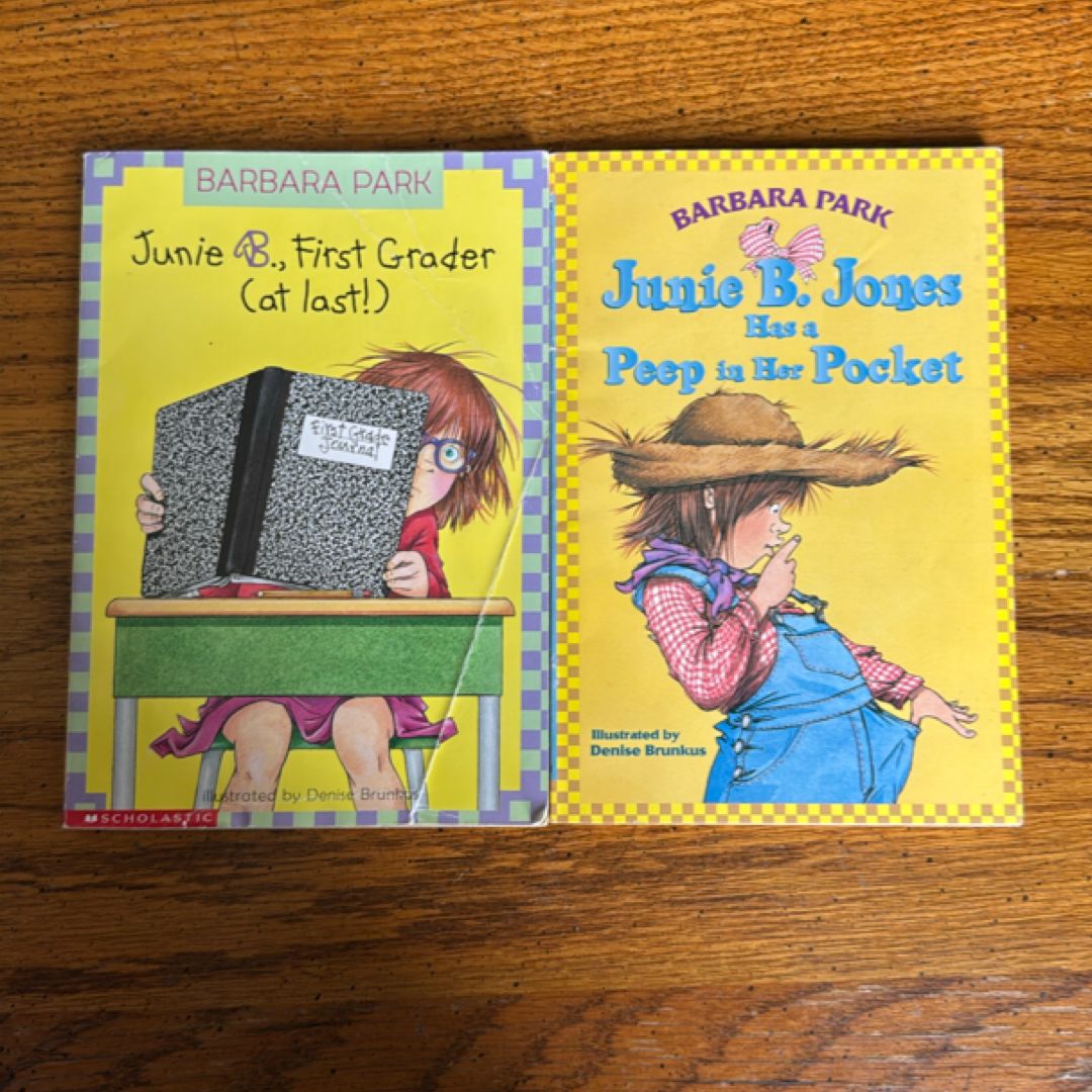 Junie B. Jones Book lot