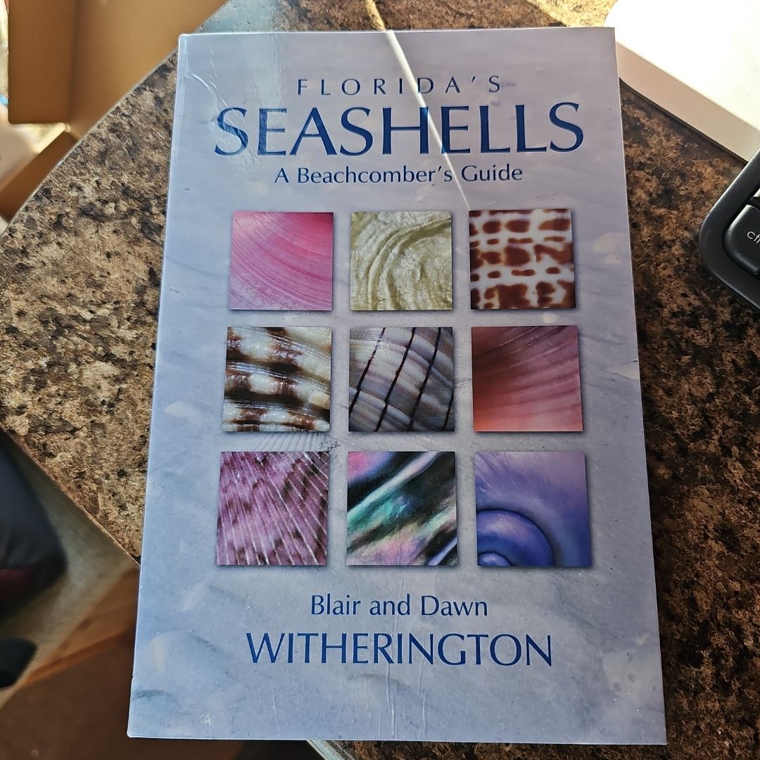 Florida's Seashells