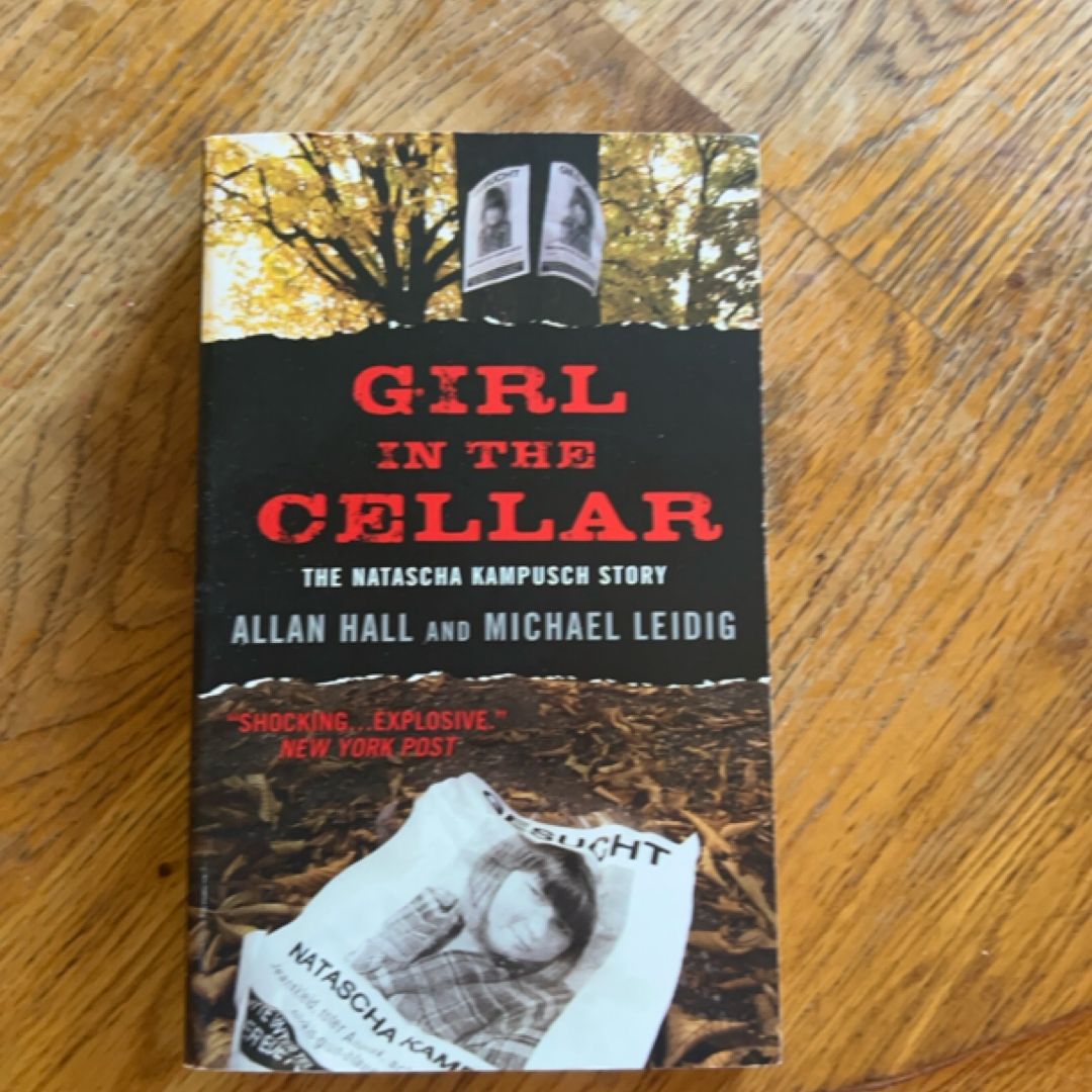 Girl in the Cellar