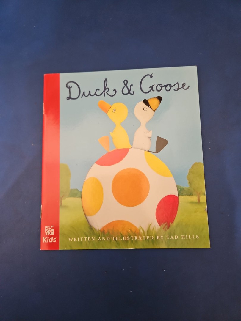 Duck and Goose