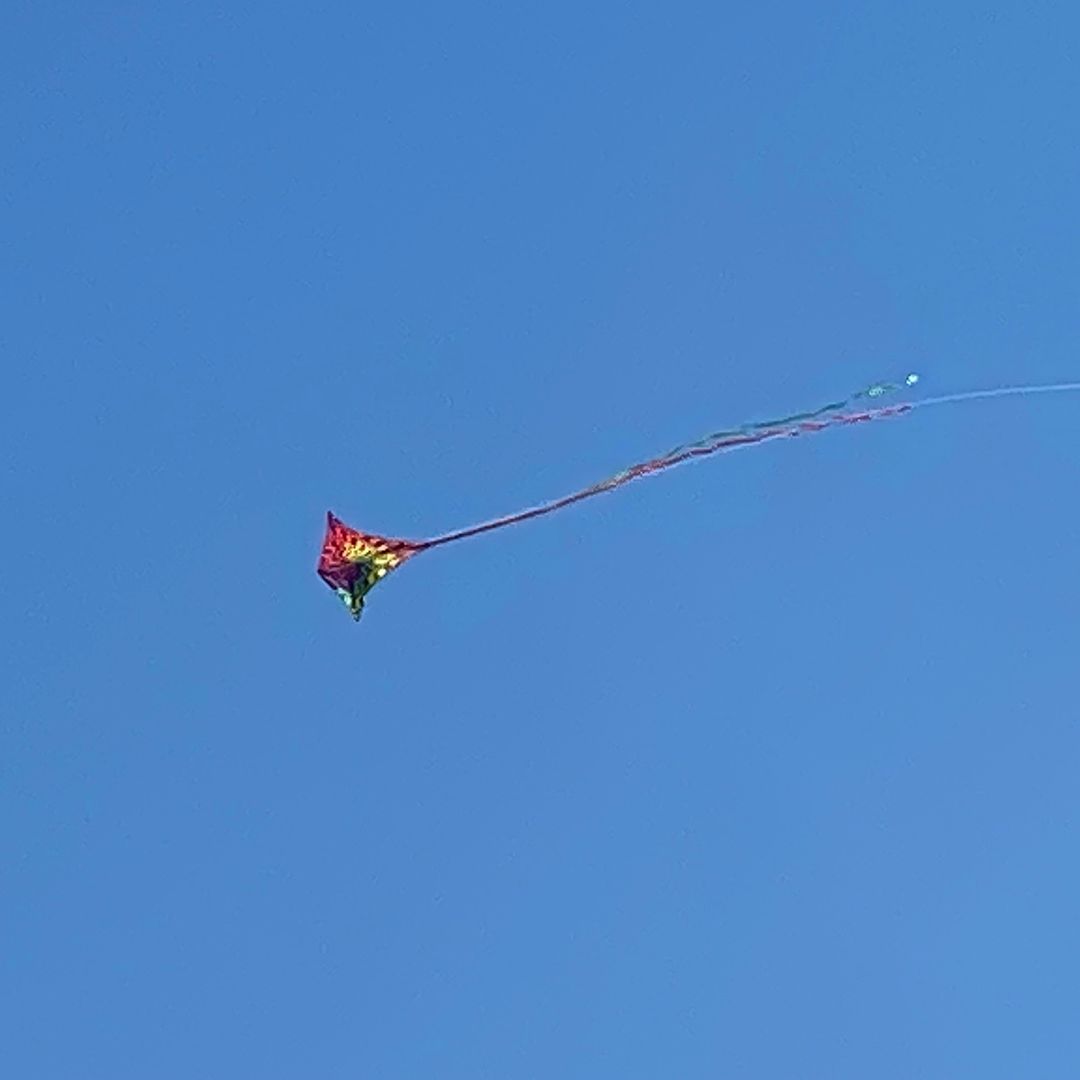 catherine cutilli-mannem