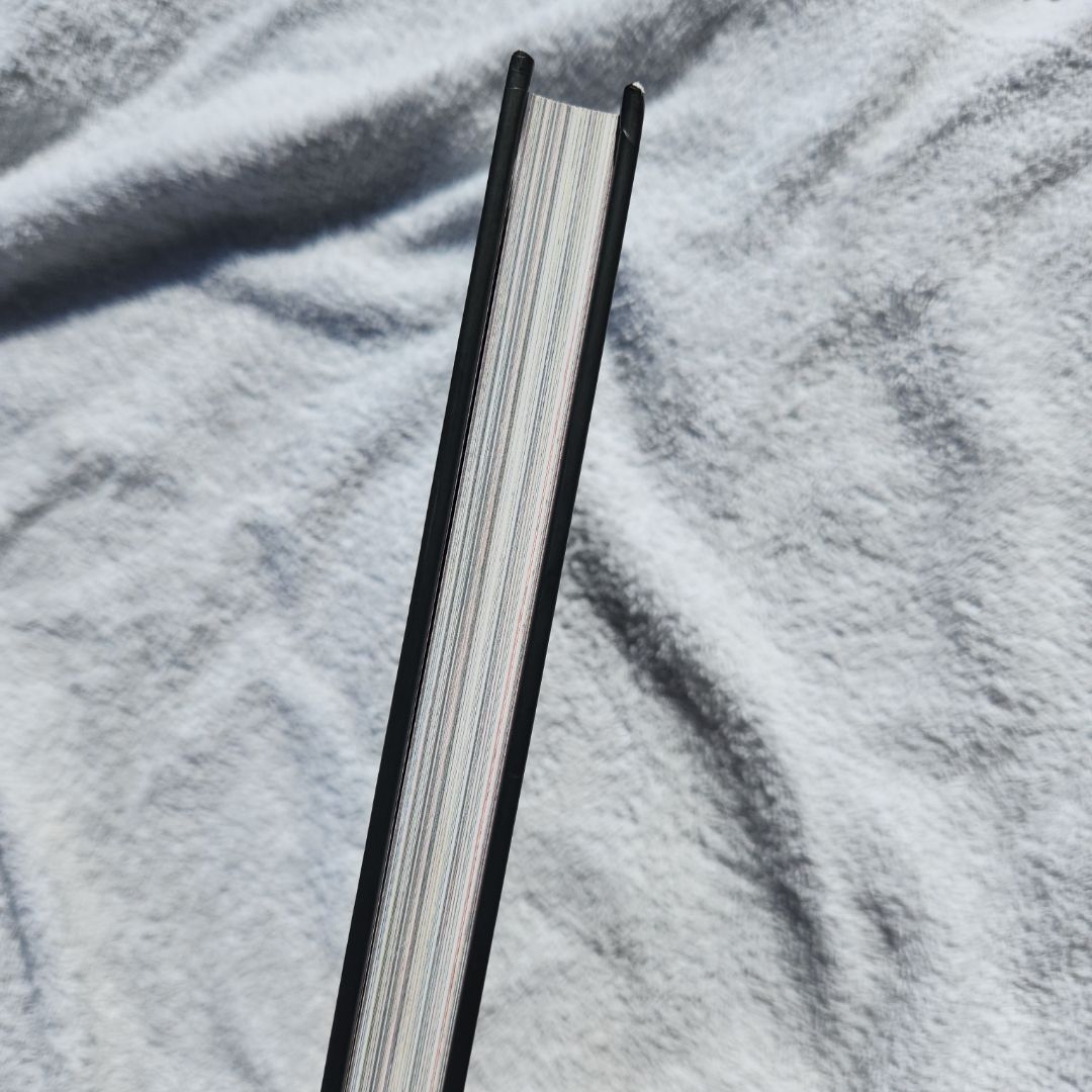 The Handmaid's Tale (Graphic Novel)