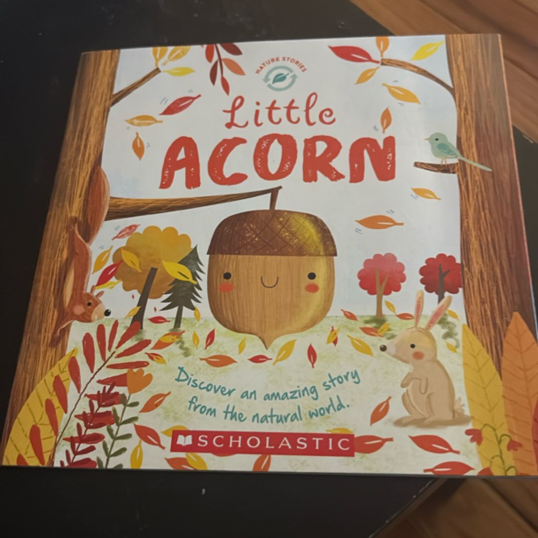 Little Acorn