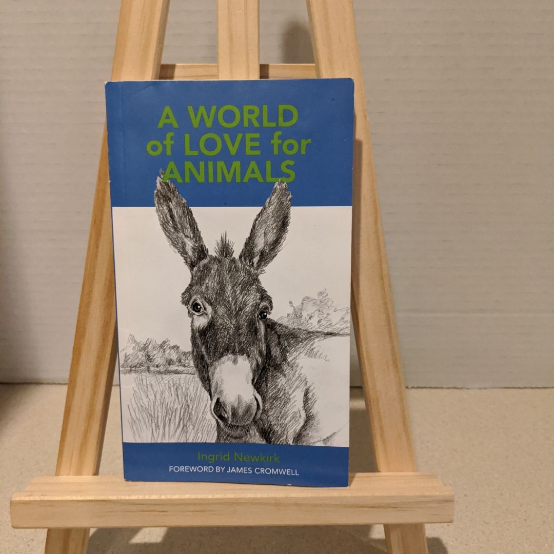 Peta A World of Love for Animals