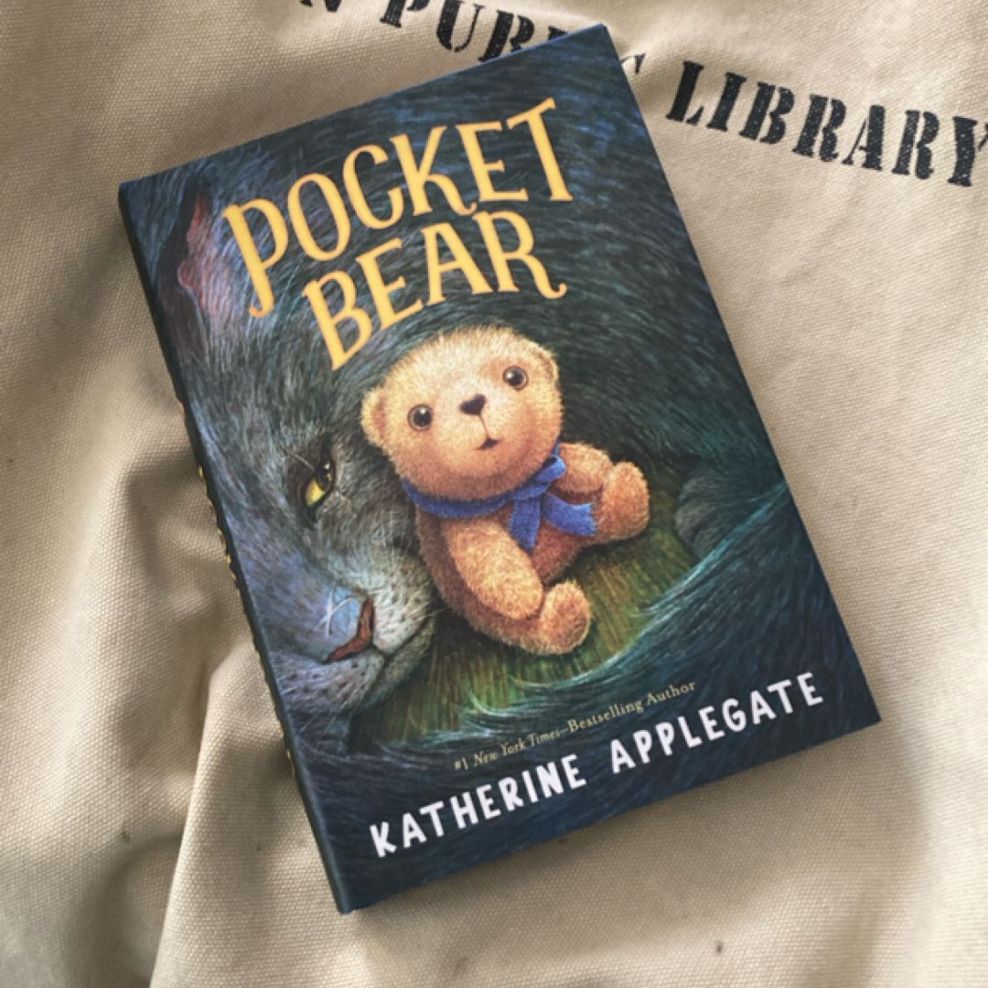 Pocket Bear