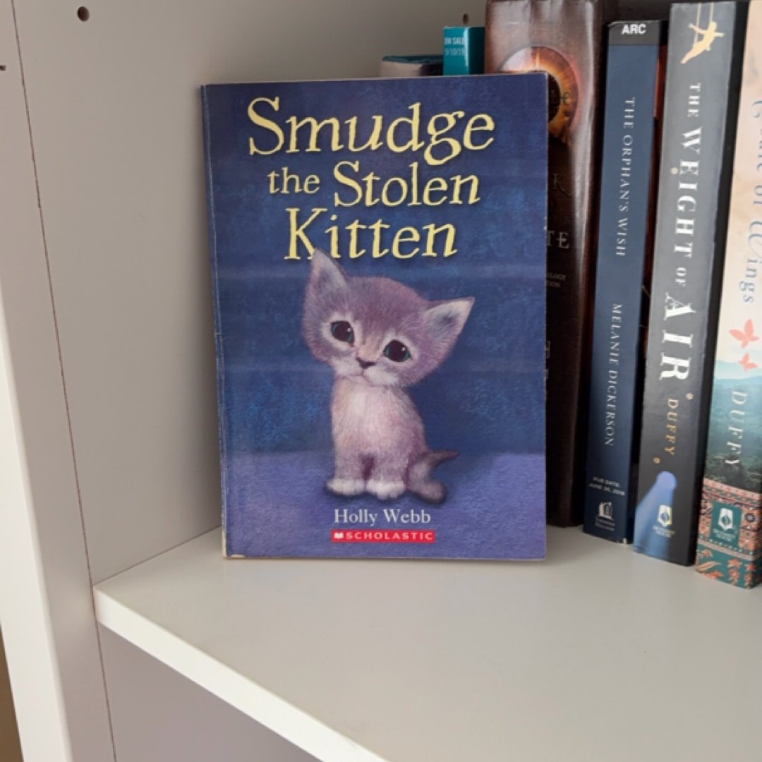 Smudge the Stolen Kitten