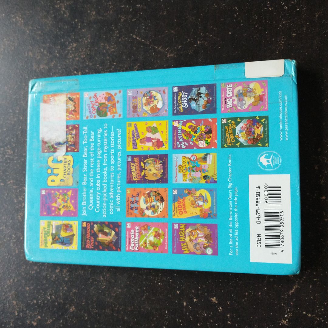 The Berenstain Bears and the Great Ant Attack