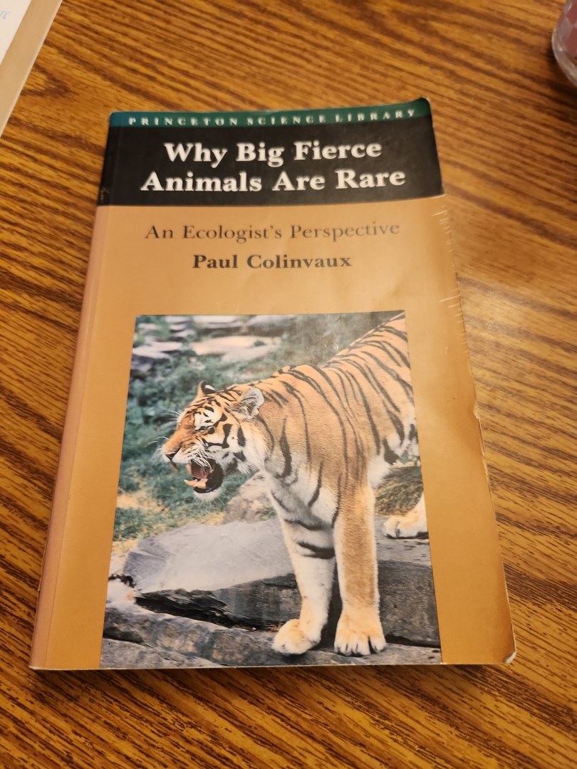 Why Big Fierce Animals Are Rare