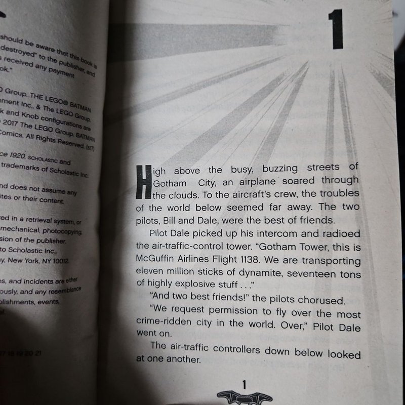 Lego Batman Junior Novel