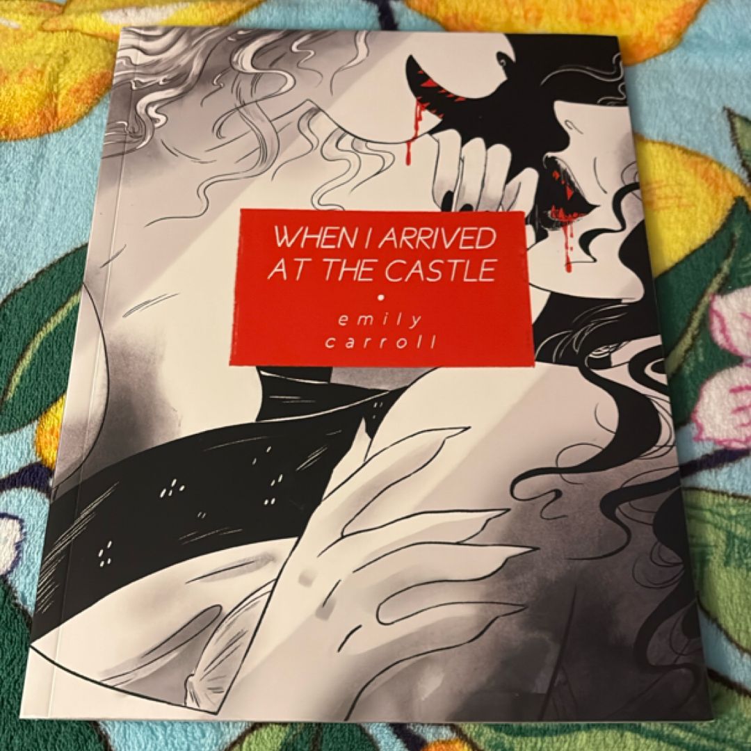 When I Arrived at the Castle