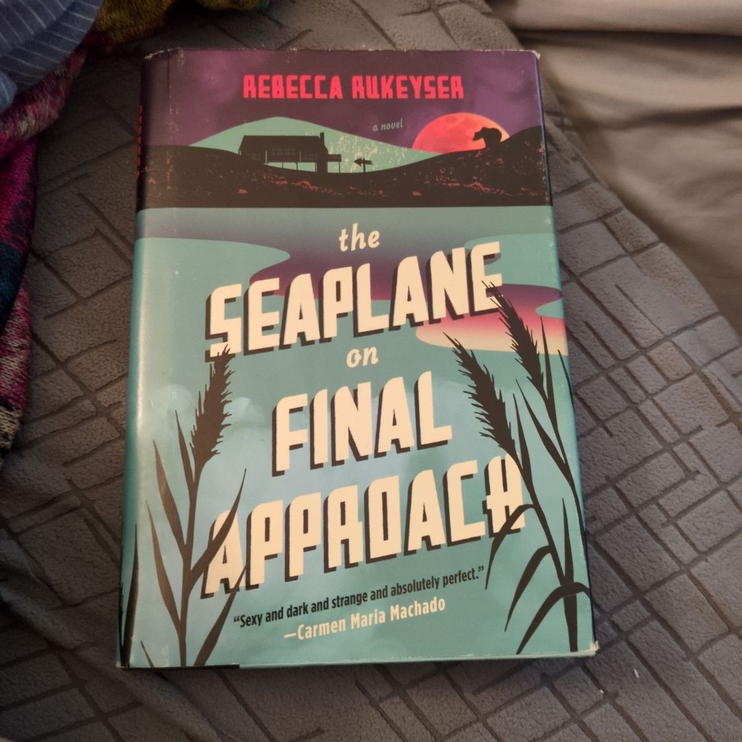 The Seaplane on Final Approach