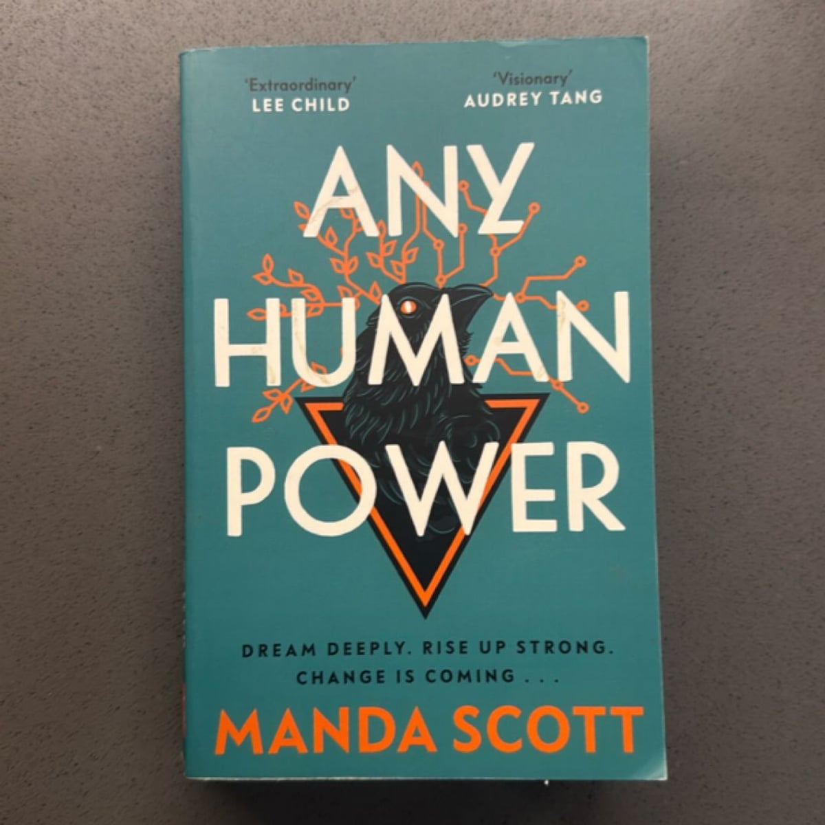 Any Human Power by Manda Scott