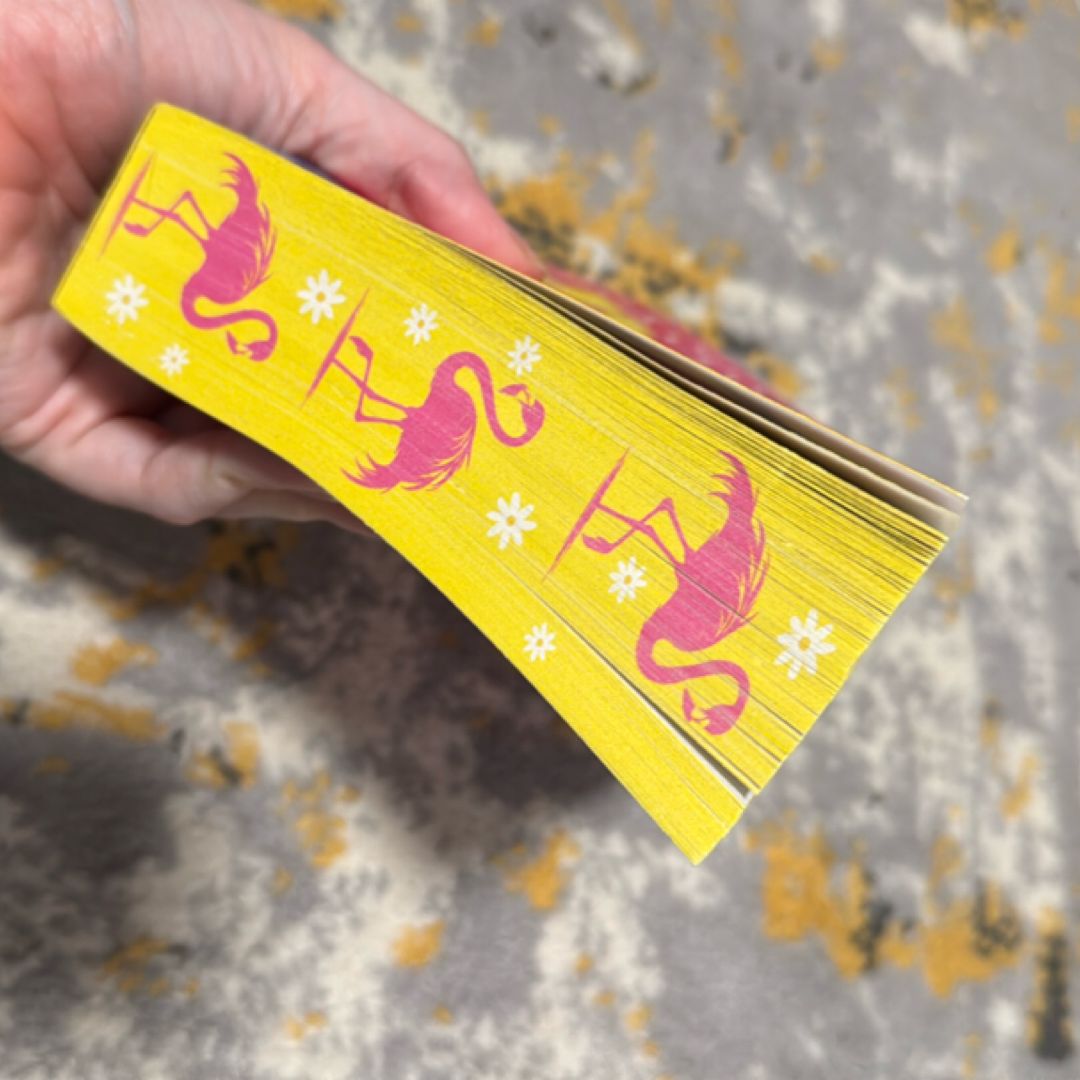 Just for the Cameras (Deluxe Edition)