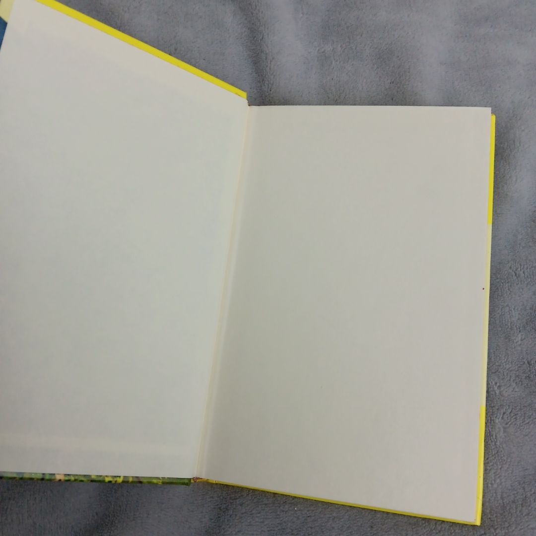 Nancy Drew 07: the Clue in the Diary