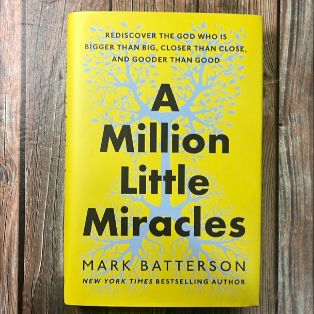 A Million Little Miracles