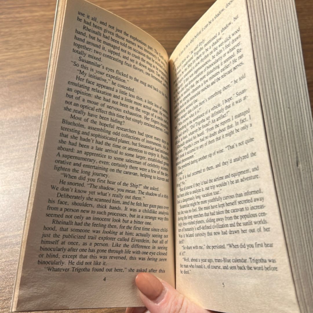 The Shadow of the Ship